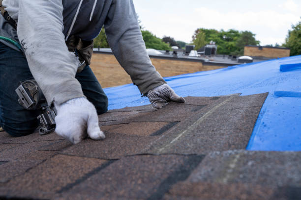 Best Flat Roof Repair Services  in Larned, KS